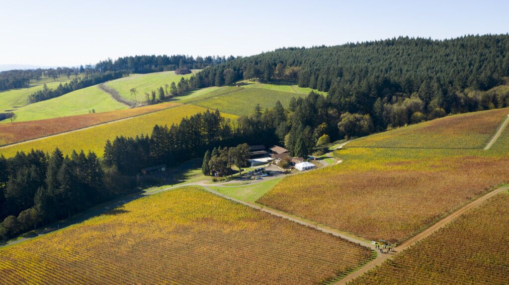 Aerial view over Kudsen Vineyards, Dundee Hillls AVA, Willamette Valley, Oregon